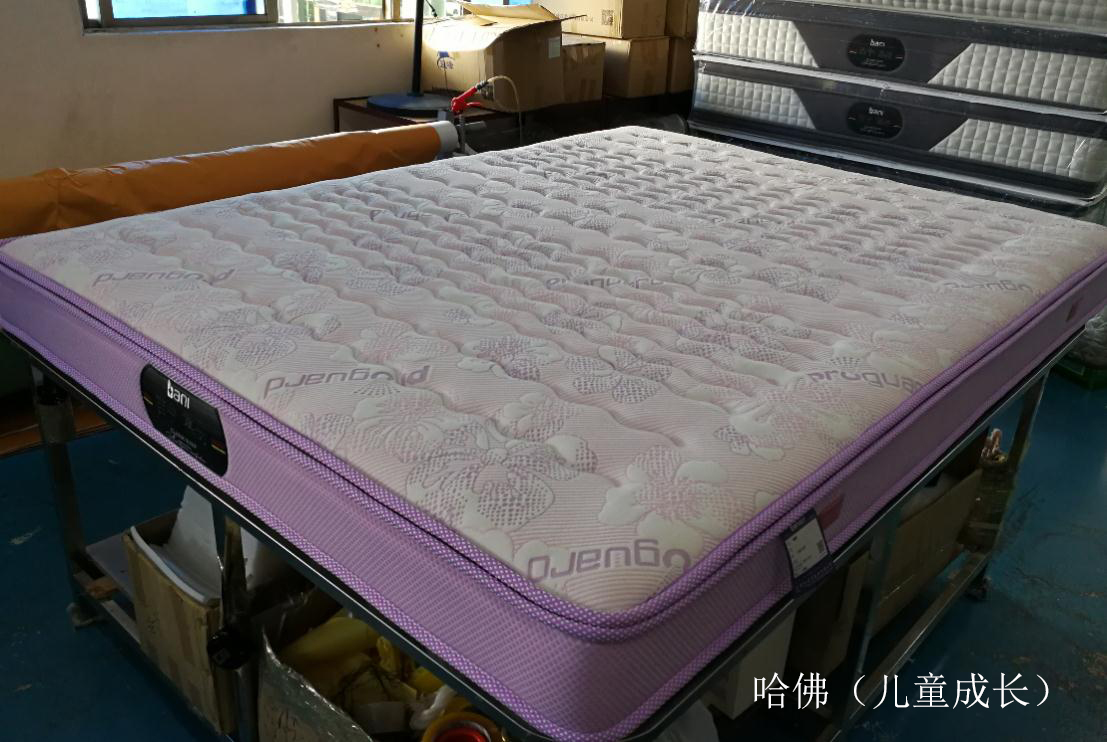 百宁品牌床垫哈佛儿童成长